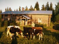 Maenpaassa  Vuokko Salminen Mäenpään pihassa.