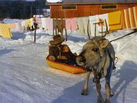 Potretti  Kyydissä Sirkka Lehtioksa ja tytär Jaana.
