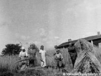 Kerpola(10)  Rukiinkorjuussa Kerpolassa vasemmalta Kerpolan pikkukamarissa asunut kuppari-hieroja-lapsenpäästäjä Hilma Reth (sukunimeä on kirjoitettu myös asussa Reht) eli "Riitin Hilma", Kerpolan emäntä Olga Ahlgren (o.s. Peltonen, 12.4.1901 - 12.1.1986), naapuritalo Lepsalasta (myöhempi nimi Järvenpää) hyvänä laulajan muistettu Lyyli Reijonen (s. n. 1920, myöhemmin Vainio) ja Kosti Reijonen, sekä Tauno Salonen (sirppi kädessä) ja oikealla Olgan aviomies Hjalmar Ahlgren (19.11.1893 - 17.9.1964).