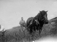 Kerpola(13)  Langokset Einar (kutsumanimi Eino) Geijer (1894 - 1979, niittämässä) ja Kerpolan isäntä Hjalmar Ahlgren  (19.11.1893 - 17.9.1964), hevosen ohjaksissa) heinän kaadossa Kerpolassa Kerttu-hevosen kanssa.