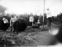 Kerpola(14)  Vasemmalta Kerpolan pikkumökissä asunut Nestori Koljander, Kerpolan emännän siskonmies Einar (kutsumanimi Eino) Geijer (1894 - 1979) Vaasasta, Kerpolan vanha isäntä Severus Ahlgren (22.12.1866 - 27.5.1939) eli Veeru-pappa, Einon poika Reino Geijer (1932 - 1993) ja Severuksen pojanpoika Sune Ahlgren (1922 - 1982) laittamassa heinää seipäille Kerpolassa.