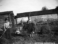 Kerpola(15)  Vaasalainen Geigerin perhe heinätöissä Ahlgreneilla Kerpolassa: isä Einar (kutsumanimi Eino, 1894 - 1979), poika Reino (1932 - 1993), äiti Iida (o.s. Peltonen, Kerpolan emännän Olga Ahlgrenin sisko) ja takana tytär Marjatta (myöhemmin Rantamäki, s. 1925 tai 1926) Geijer