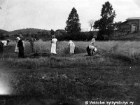 Kerpola(23)  viljankorjuussa Lepsalan (myöhempi nimi Järvenpää) ruispellolla.