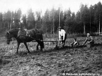 Kerpola(25)  Sähäkkä-hevosta ohjastava Kerpolan isäntä Hjalmar  (19.11.1893 - 17.9.1964), tytär Kyllikki (myöhemmin Rantanen, s. 6.12.1927) ja emäntä Olga  (o.s. Peltonen, 12.4.1901 - 12.1.1986) Ahlgren perunan istutuksessa Kerpolassa