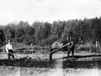 Kerpola(27)  Kerpolan isäntä Hjalmar Ahlgren (19.11.1893 - 17.9.1964) kyntämässä Kerttu-hevosella,