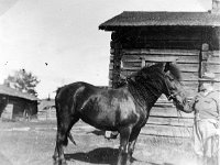 Kerpola(28)  Kerpolan isäntä Hjalmar Ahlgren (19.11.1893 - 17.9.1964) ja Kerttu-hevonen