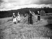 Kerpola(40)  Rukiinniittoa Kerpolan pellolla: Ampujan evakkoperheen poika Jaakko keskellä ja äitinsä Anja Ampuja (huivi päässä), Anjan vieressä Kerpolan emäntä Olga Ahlgren (o.s. Peltonen, 12.4.1901 - 12.1.1986) ja tyttärensä Kyllikki Ahlgren (myöhemmin Rantanen, s. 6.12.1927) sekä Olgan siskon tytär Marjatta Geijer (myöhemmin Rantamäki, s. 1925 tai 1926) ynnä takimmaisena Olgan aviomies Hjalmar Ahlgren (19.11.1893 - 17.9.1964) rukiinniitossa. Taustalla näkyy kuhilaita,